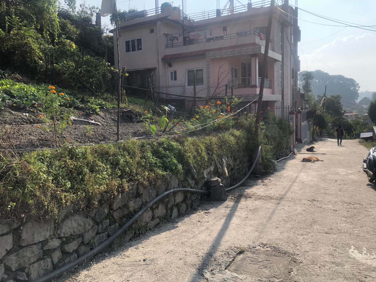 Picture of Gokarneshwar Municipality, Bagmati